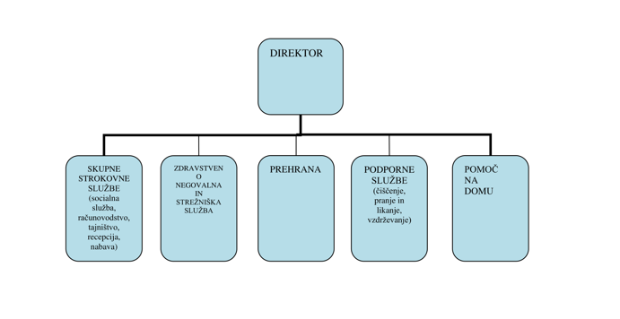 Organizacijska shema Doma starejših občanov Ajdovščina